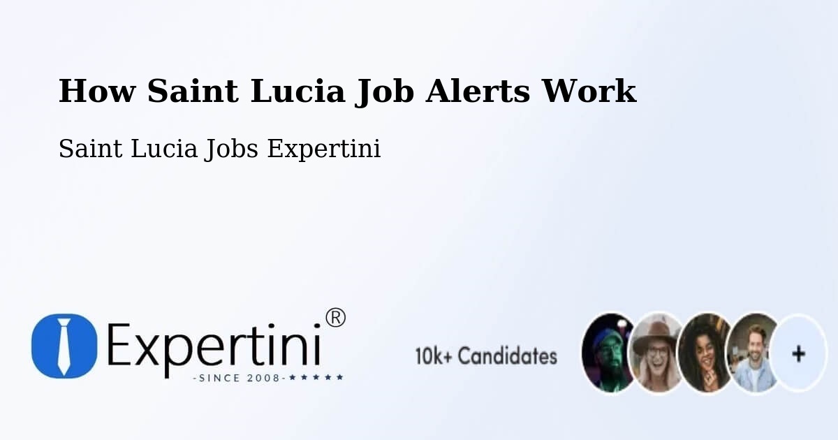 Job Alert System Overview – Morne Road - Saint Lucia Jobs Expertini